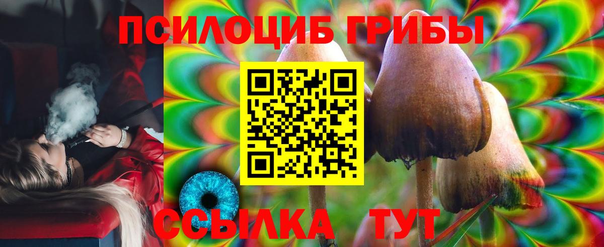 Казань  купить  сайты  Псилоцибиновые грибы Psilocybe  Вход с VPN  Галлюциногенные грибы Psilocybe 